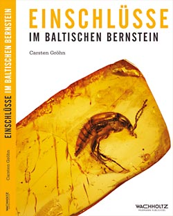 Carsten Grhn - Enschlsse im Baltischen Bernstein