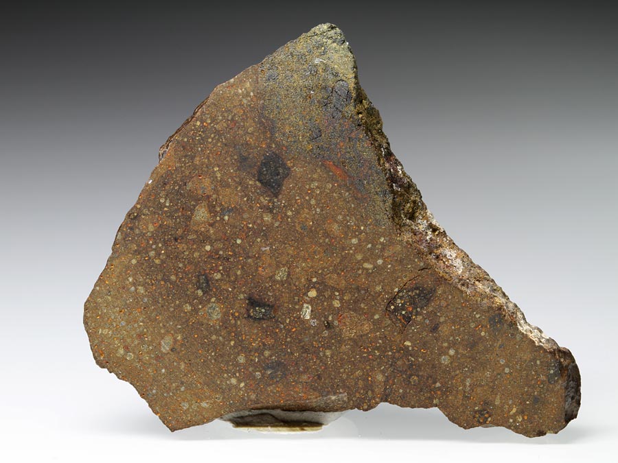 NWA-2921 Steinmeteorit
