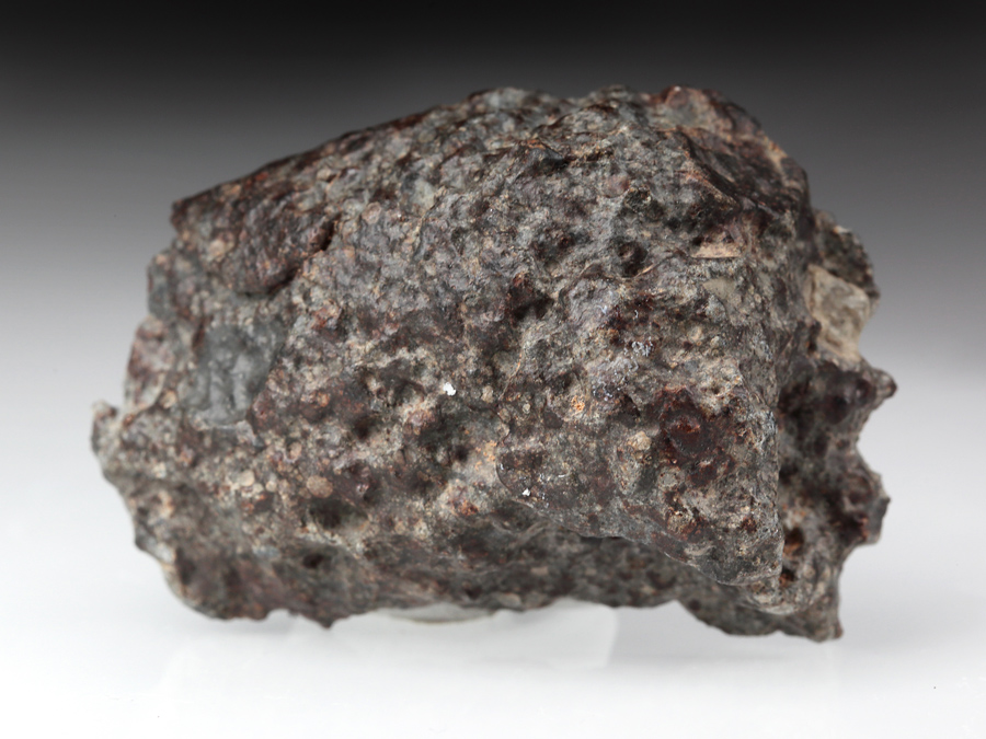 NWA 4037, halbierter Meteorit
