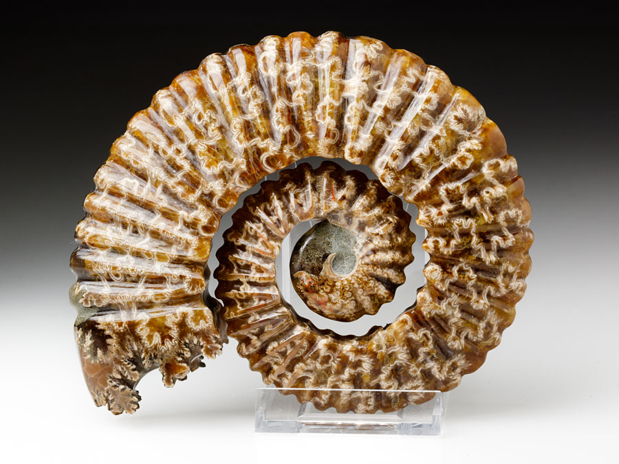 Ammonitenskulptur
