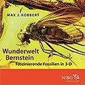 Max Kobbert: Wunderwelt Bernstein
