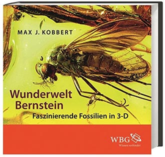 Max Kobbert, Wunderwelt Bernstein