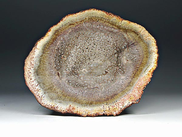 versteinertes Holz aus Brasilien