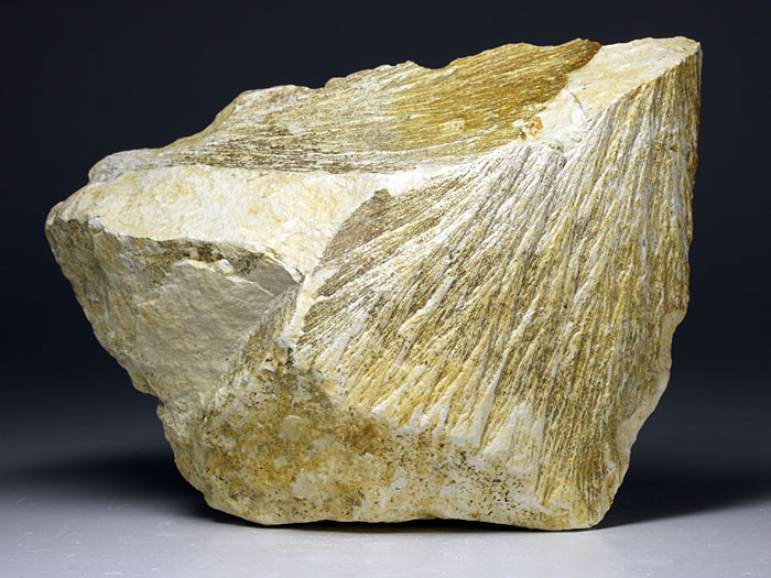 Strahlenkalk aus dem Steinheimer Becken