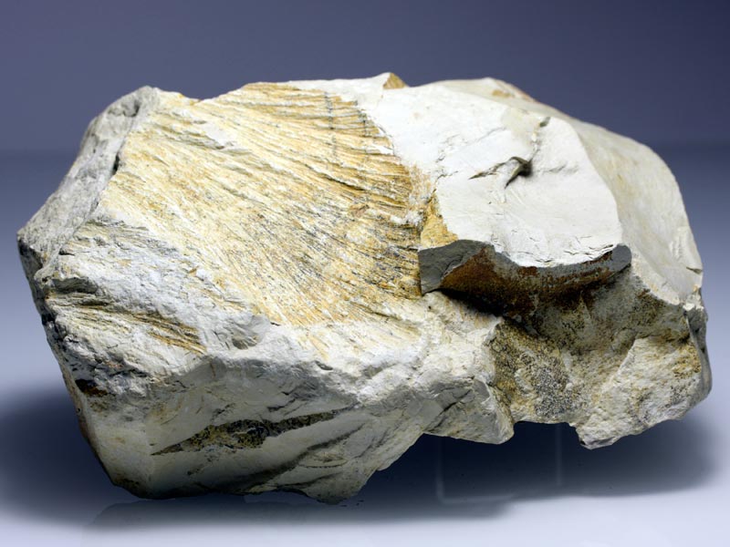 Strahlenkalk aus dem Steinheimer Becken