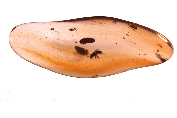 Kopal aus Madagaskar