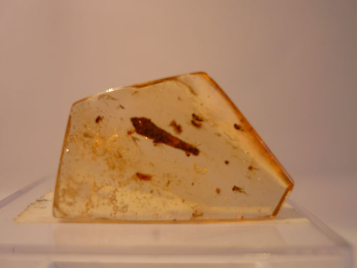 Kopal aus Madagaskar