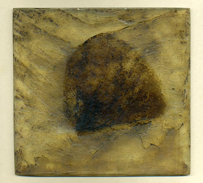 Blatt aus der Grube Messel