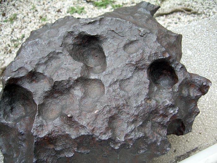 Gibeon Eisenmeteorit