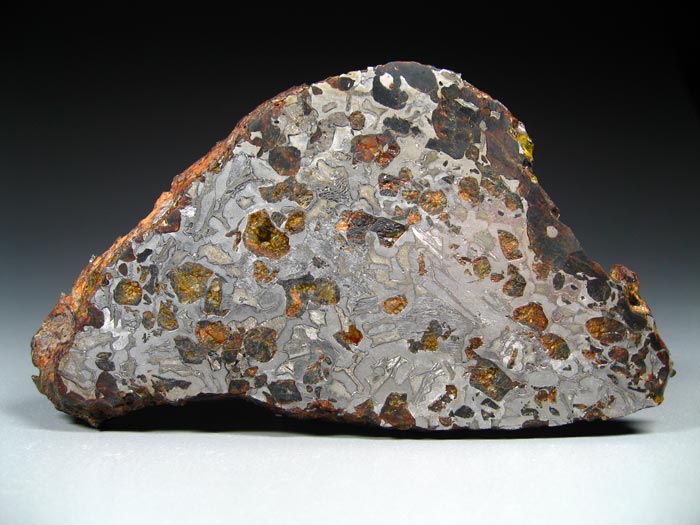 Steineisenmeteorit (Pallasit): Seymchan