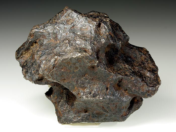 Campo del Cielo-Eisenmeteorit