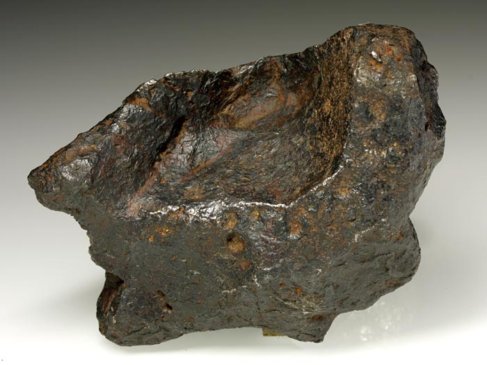 Campo del Cielo-Eisenmeteorit