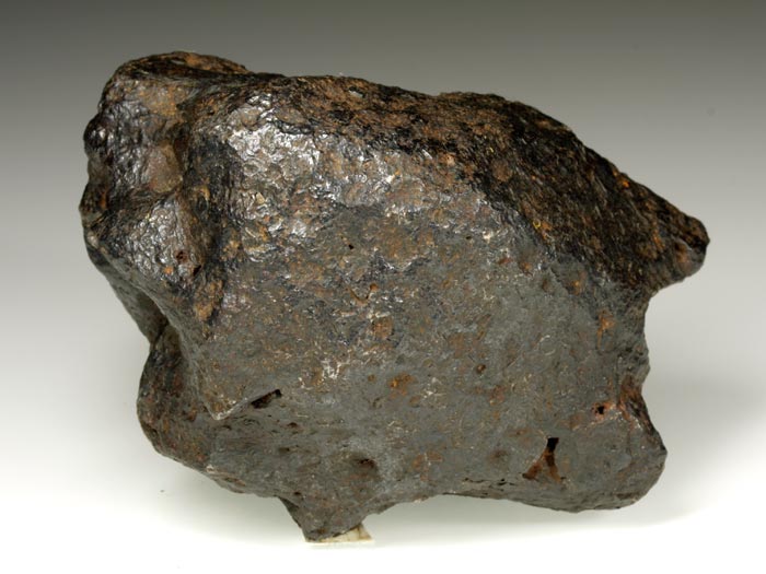 Campo del Cielo-Eisenmeteorit