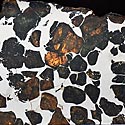 Steineisenmeteorit (Pallasit): Seymchan