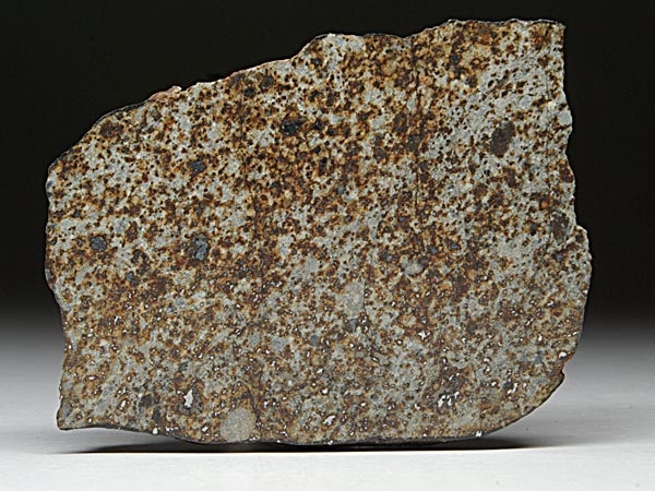Steinmeteorit, NWA 869
