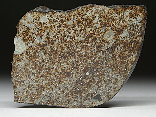 Steinmeteorit, NWA 869