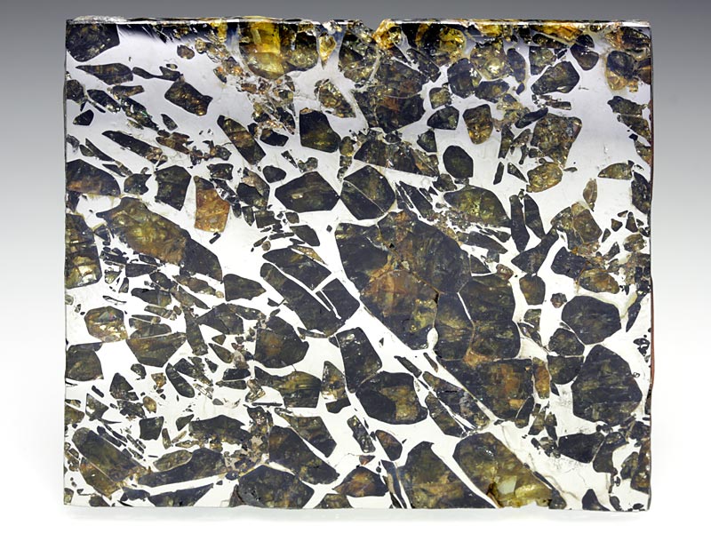 Seymchan-Steineisenmeteorit aus Russland