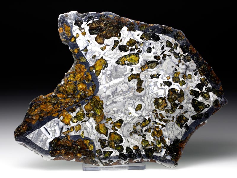 Seymchan-Steineisenmeteorit aus Russland