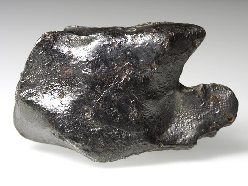 Sikhote Alin Eisenmeteorit aus Russland