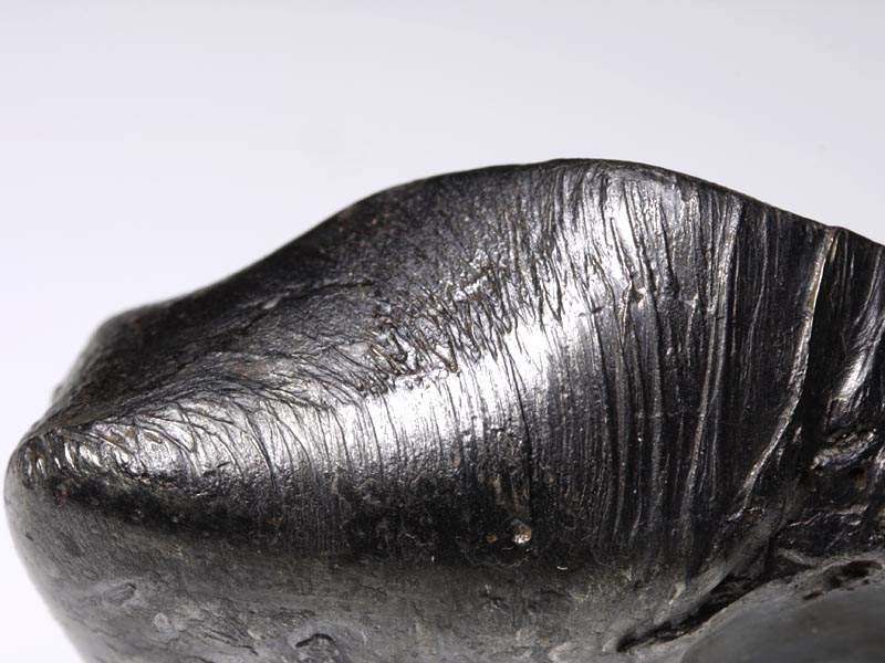 Sikhote Alin Eisenmeteorit aus Russland