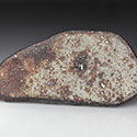 La Cienega - Steinmeteorit aus Mexiko