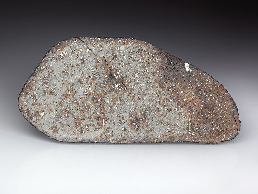Steinmeteorit La Ciénega