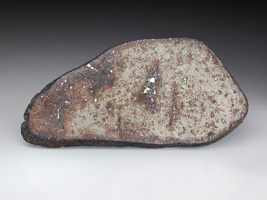 Steinmeteorit La Ciénega