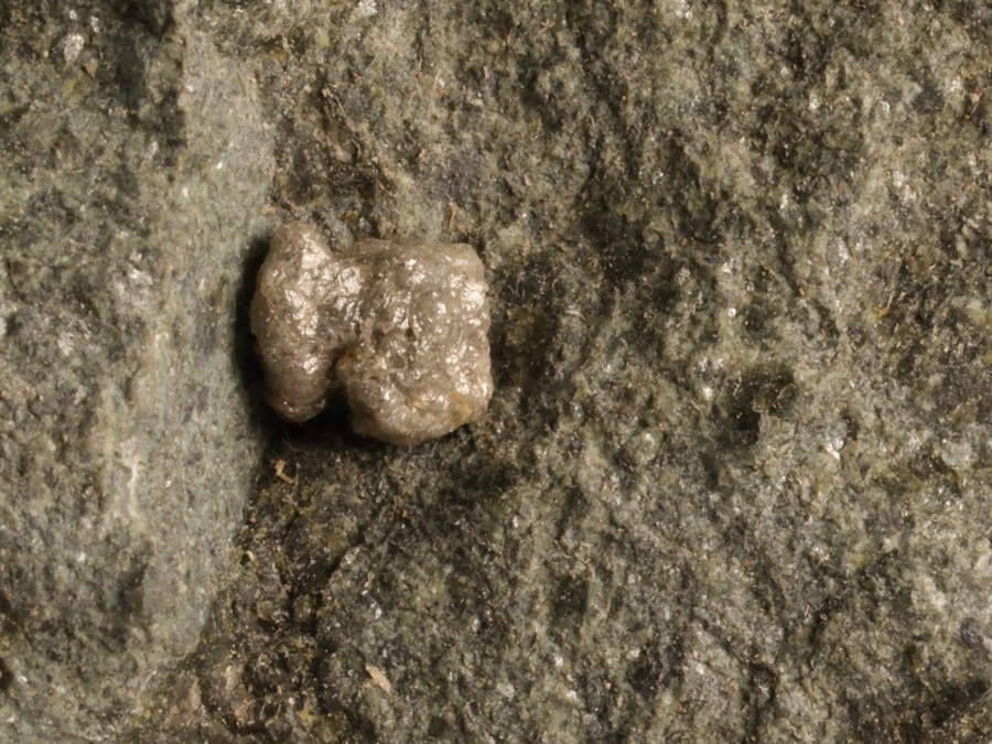 Diamant