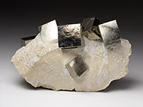 Pyritstufe in Museumsqualit�t