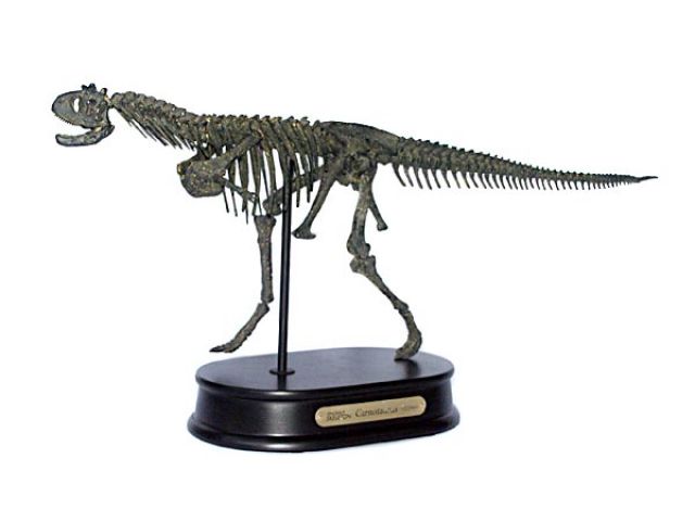 Carnotaurus