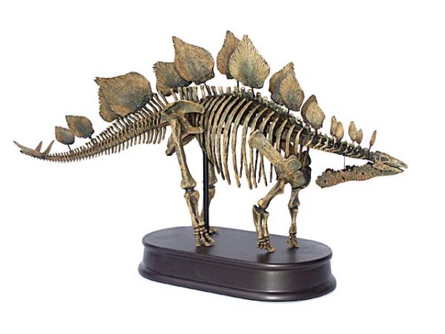 Parasaurolophus
