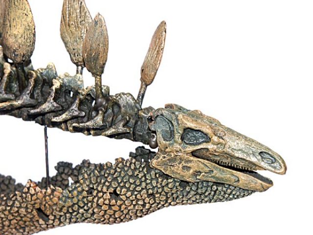 Parasaurolophus