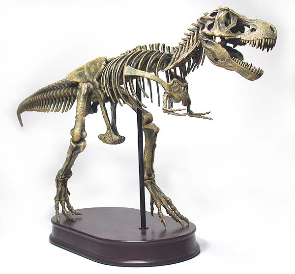 Tyrannosaurus rex
