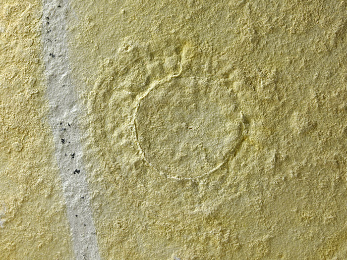 Qualle aus dem Solnhofener Plattenkalk