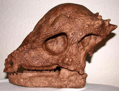 Prenocephales prenes