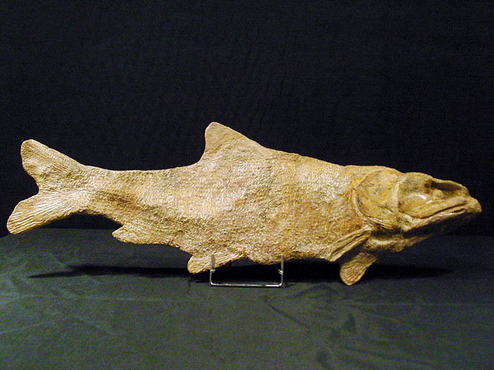 Fisch aus der Santana Formation, Brasilien