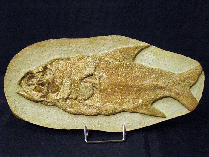Fisch in Geode aus Brasilien