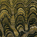 Stromatolithen aus Bolivien und Minnesota
