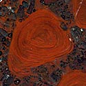 Stromatolithen aus Minnesota