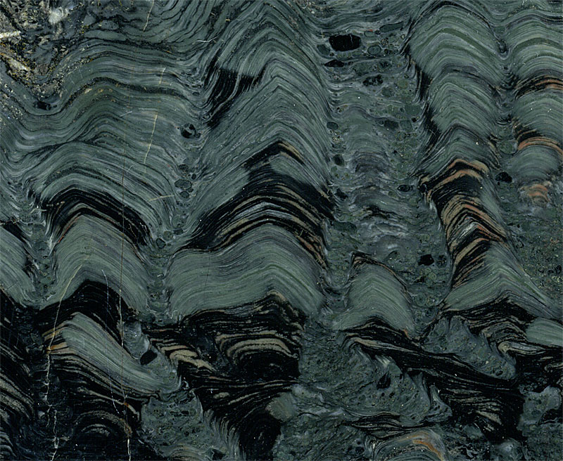 Stromatolithen aus Amerika