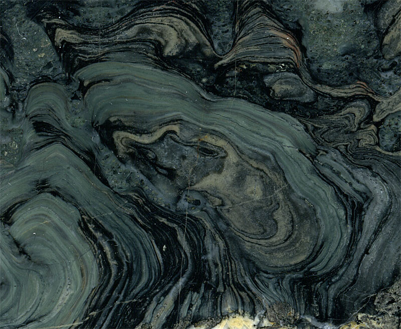 Stromatolithen aus Amerika