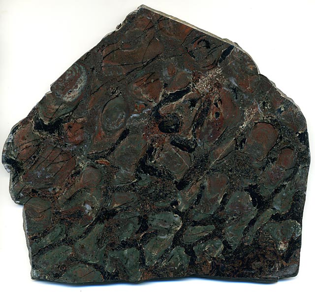 Stromatolithen aus Amerika