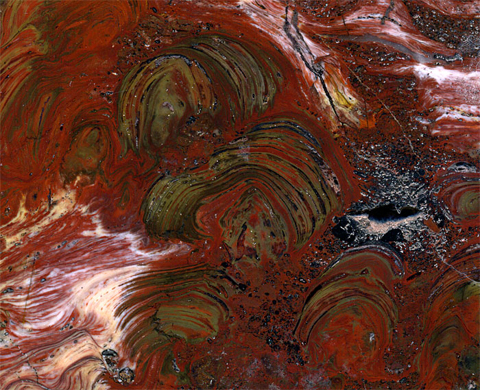 Stromatolithen aus Amerika