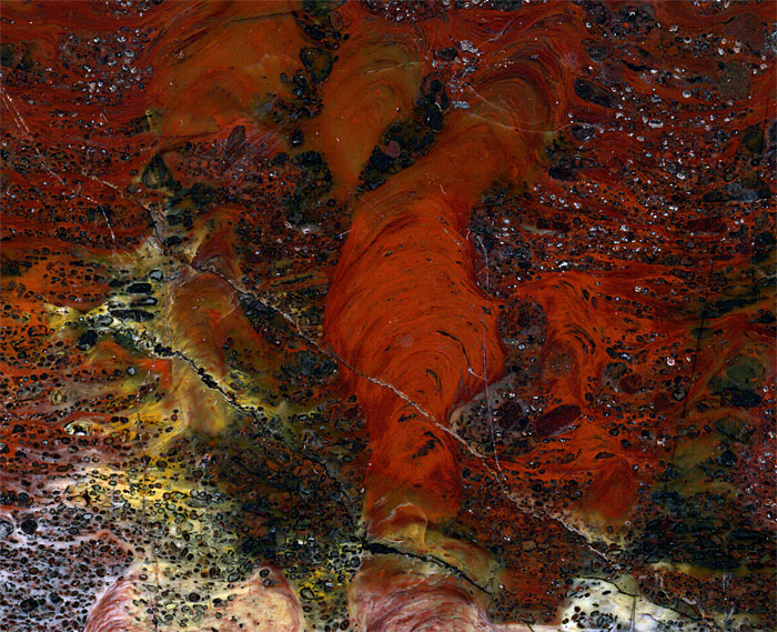 Stromatolithen aus Amerika