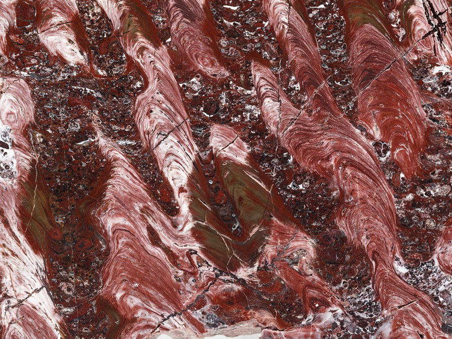 Stromatolithen-Platte