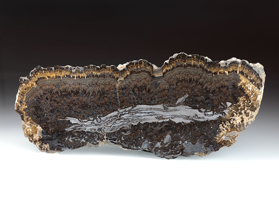 Stromatolithenplatte