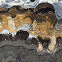 Stromatolithenplatte aus Deutschland