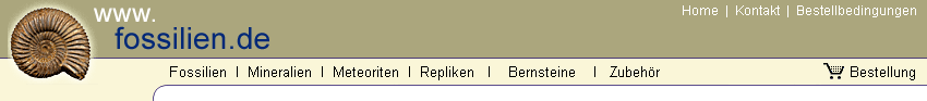 Fossilien, Mineralien, Repliken
              und Meteoriten
