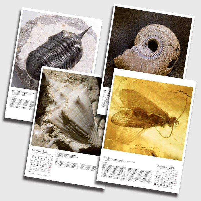 Fossilienkalender 2016