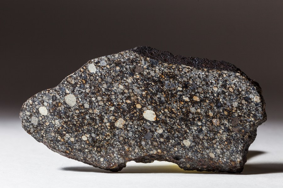 Chondrit, NWA
                                  13213